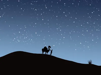 The Alchemist art creative design digita graphic design illustration sketching