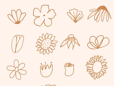 Flower Study adobe illustrator brand identity branding design flower study graphic design illustration illustrator motion graphics one line drawing procreate typography vector