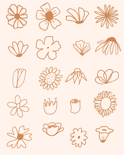 Flower Study adobe illustrator brand identity branding design flower study graphic design illustration illustrator motion graphics one line drawing procreate typography vector