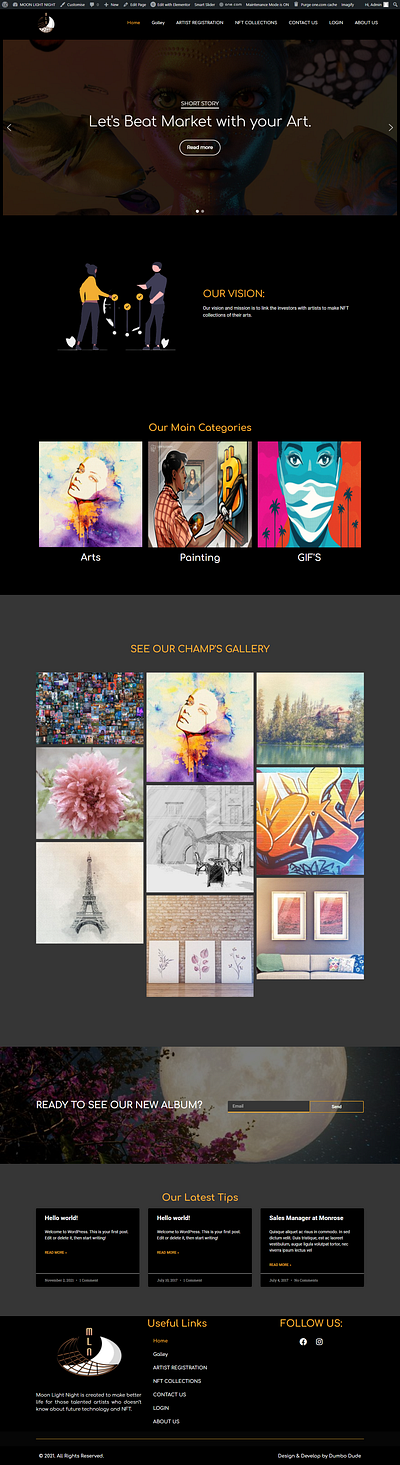 NFT Website Design ui