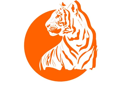 Tiger branding design graphic design illustration logo tiger vector
