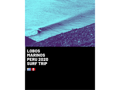 Lobos Marinos (t-shirt art) design t shirt