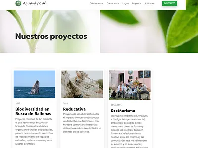 Aguara Pope Website (screenshot #6) design website