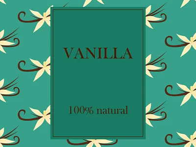 Vanilla flower label template. branding card design graphic design illustration logo template vector