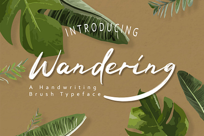 Wandering Font fonts
