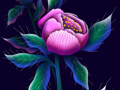 Peony art botanical botanical illustration drawing floral floral illustration flower flowers illustration leaf leaves peonies peonies illustration peony plant plant illustration