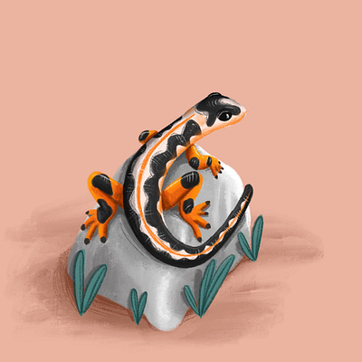 Lizyyyy animal illustration book illustration cartoon character children illustration design drawing illustration lizard