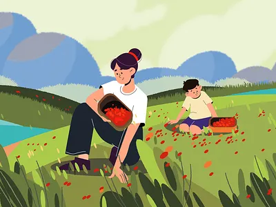 Cloudberry field 2d art background berries boy character cloudberry explainer family field flat girl illustration light texture