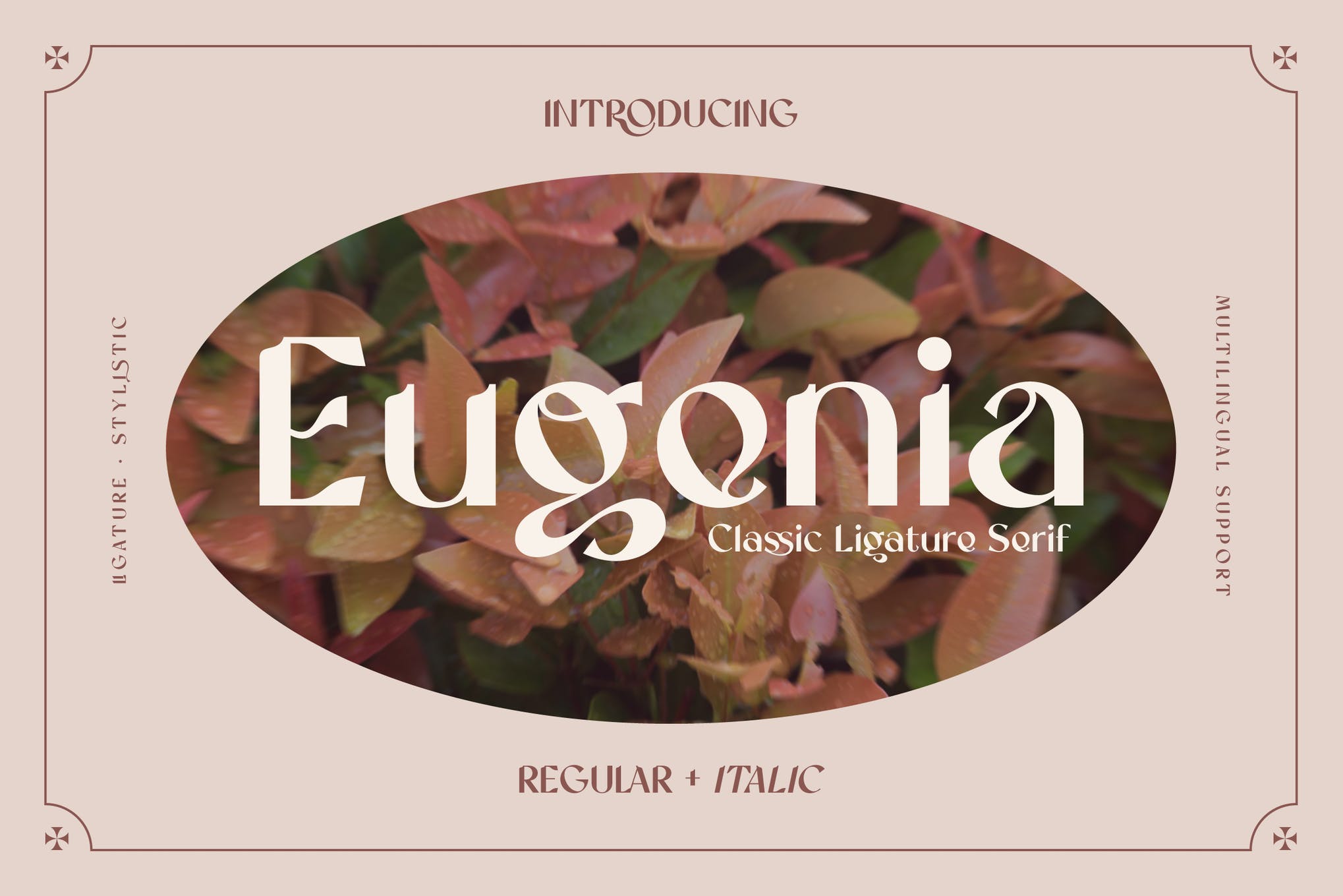 Eugenia Vintage Serif Font app branding design display font graphic design illustration logo serif serif font typography ui ux vector vintage