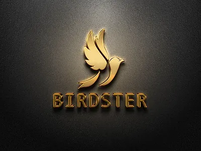 Birdster branding graphic design logo brand manitgraphics