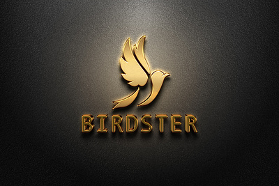 Birdster branding graphic design logo brand manitgraphics