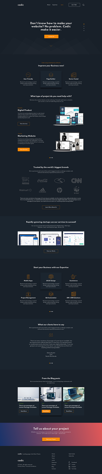 Codic Agency branding graphic design illustration responsive ui