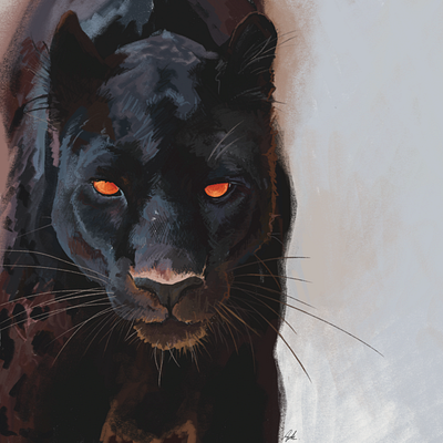 Black Panther - Digital Art Painting animals big cat black leopard color theory digital art digital painting drawing illustration leopard panther