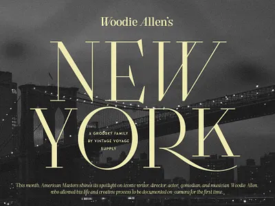 Grodsky • Modern Antiqua Family branding classic font event font fashion font graphic design header font logo magazine font modern font modern typography poster font romantic font serif font stylish font trendy font trendy typography wedding font