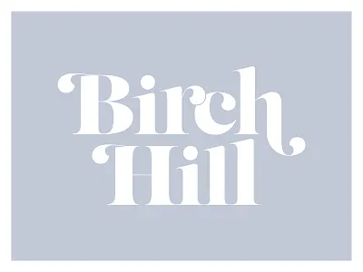 BH_unused WIP.jpg illustrator logo type wip