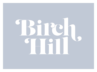 BH_unused WIP.jpg illustrator logo type wip