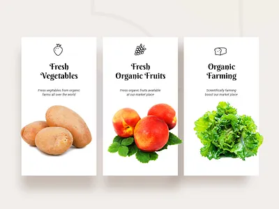 Organic Food food grocery organic food organic food shop