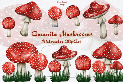 Watercolor Amanita Mushroom