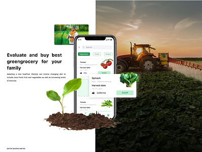 Grocery purchasing 3d animation app branding crops design designing farming fruits graphic design healthy icon illustration logo motion graphics typography ui ux vector vegetable