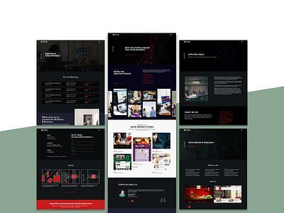 DD Website branding design responsive ui ux vector website