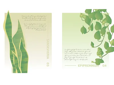 Botanical Poster N3 and N4 botanical epipremnum green illustration minimalism poster sansevieria vector