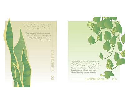 Botanical Poster N3 and N4 botanical epipremnum green illustration minimalism poster sansevieria vector