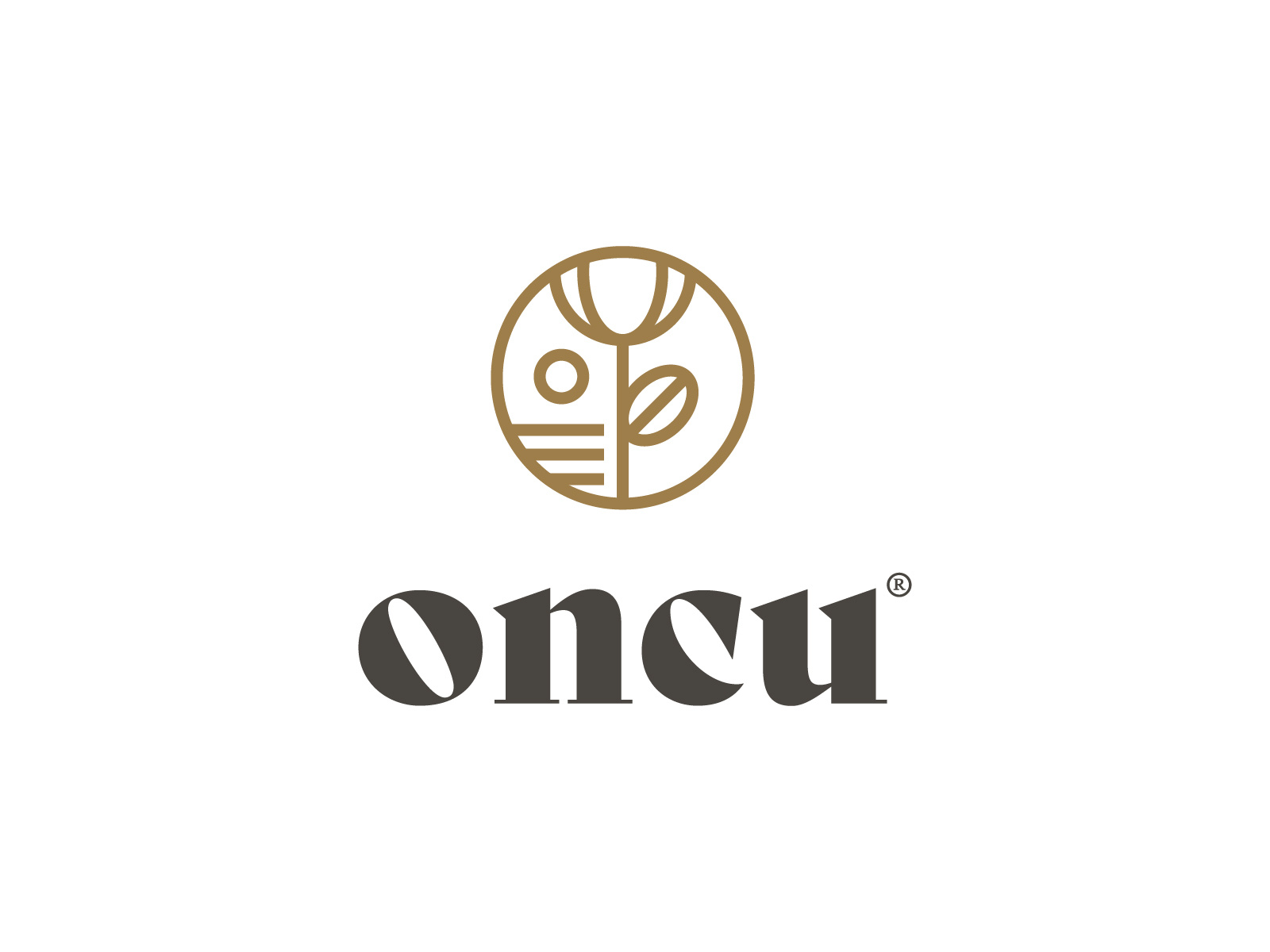 Example of Logo & Brand Identity Starter Kit