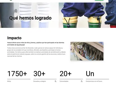 Aguara Pope Website (screenshot #4) data visualization design website