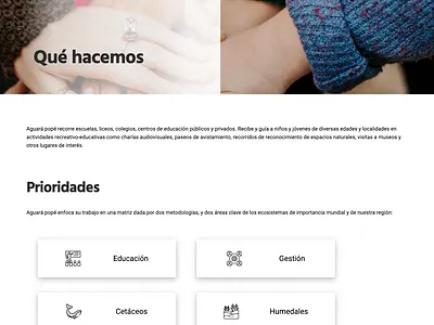 Aguara Pope Website (screenshot #3) design website