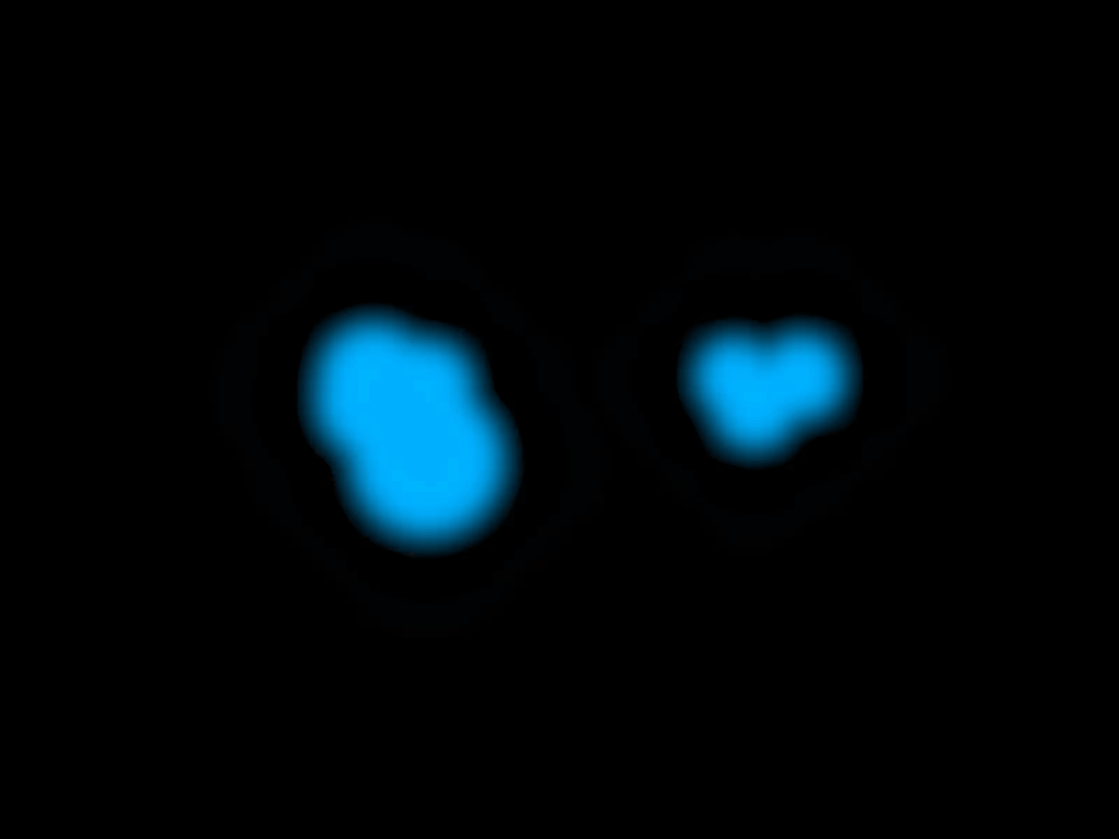 Neon Fish Studio Logo Reveal advertise after effects animation branding design graphic design illustrator logo logo reveal motion design motion graphics vector