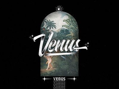 Venus art brush design lettering painting type typography