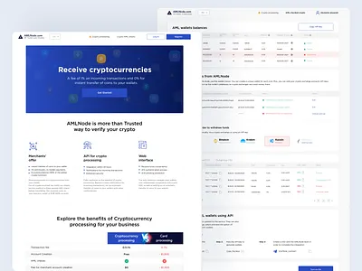 Crypto Processing service branding design ui ux