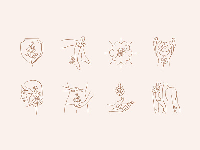 Botanical Moringa Icon Set artsy body botanical delicate design development hand drawn health icon set icons illustration leaves moringa nutrition packaging shopify skin skincare website wellness