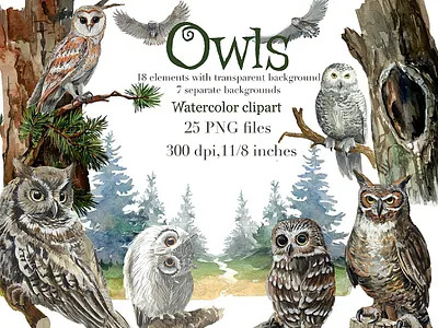 Owls in the forest watercolor clipart, trees, forest background branding design illustration logo