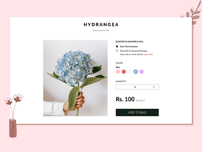 The Florist - Hydrangea design florist illustration ui ux web design website