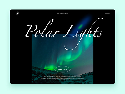 Aurora Borealis Tours Homepage aurora borealis black book booking concept dark homepage interface polar lights tour travel traveling trips typography ui ux web web design web page website