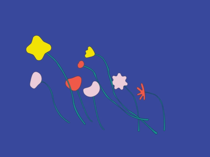 FLOWERS ANIMATION aftereffects animation digitalart flower flowers gif illustration minimalism video