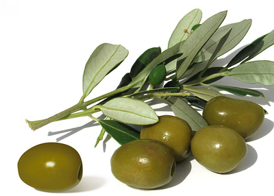 The left olive was made in Photoshop design illustration