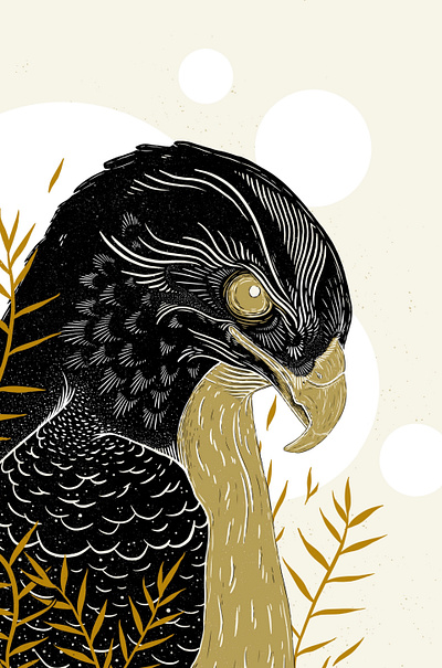 Eagle / Procreate bird illustration blockprint botanical design digital drawing digital illustration eagle illustration illustrator linocut nature printmaking procreate