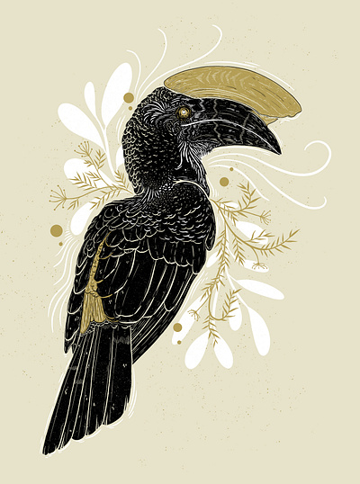 Hornbill bird illustration botanical design digital drawing digital illustration hornbill illustration illustrator nature procreate