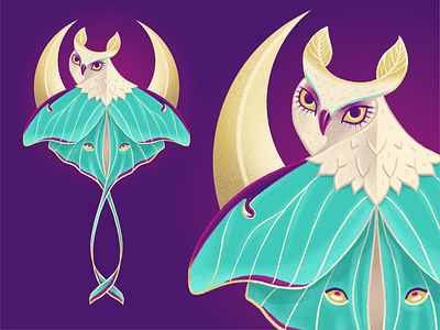 Luna Moth Owl (Mowlth?) animal book illustrator childrens creature designer digital painting fantasy graphic designer illustration illustrator luna moth mashup missouri mo moon moth mystical owl procreate st louis