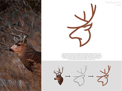Deersyin Logo animals app awesome brand branding clean deer design elegant grid identity illustration lettering logo minimal modern nice process simple vector