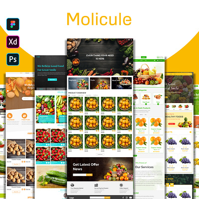 Vegetables eCommerce Different Different Home page branding graphic design ui