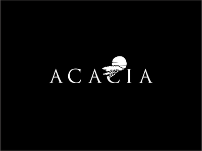 Acacia acacia illustration logo typography