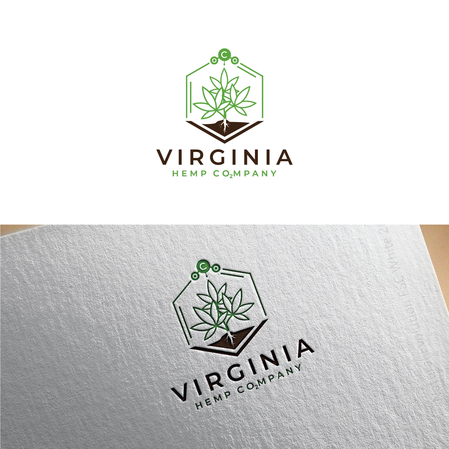 Virginia Hemp Company Logo Design - Syeda Saleha abstract logo brand identity branding cannabis leaf logo cannabis oil hemp logo corporate logo design green cannabis marijuana logo hemp leaf logo hemp logo logo logo art marijuana cannabis logo modern logo nutural hemp business logo organic hemp logo stellar cannabis logo weed cannabis logo