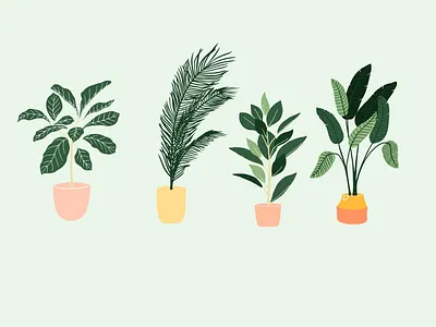 Plants digitalart digitaldrawing drawing editorial illustration flower graphic design illustration nature plant ui