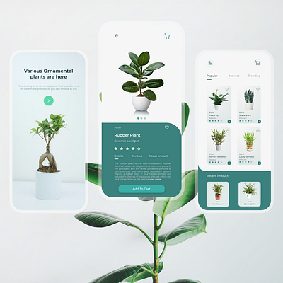 The Plant shop app app design figma ui