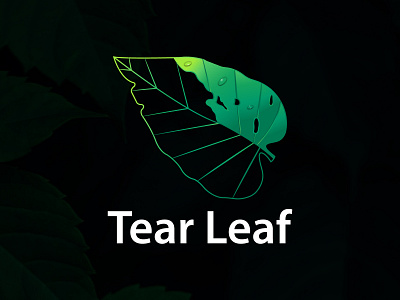 Flat and Modern Logo For TEAR LEAF brand identity branding design flat graphic art graphic design graphics design illustration leaf logo lettering logo minimalist modern natural logo nature tear leaf typography ui vector web sites