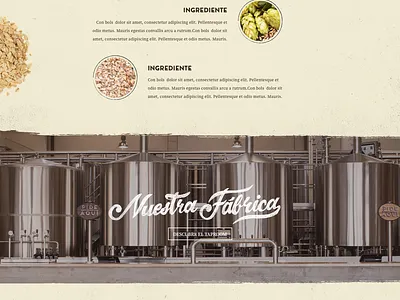 La Virgen Beer beer interface lavirgen webdesign