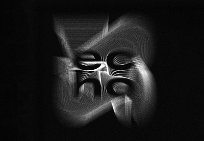 echo blackwhite design echo graphic design lettering letters typography